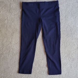 Express Navy Blue Capri Leggings